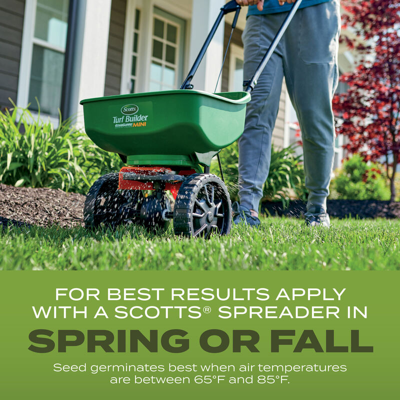 118-scotts-turf-builder-grass-seed-tall-fescue-mix--5.jpg Scotts® Turf Builder® Grass Seed Tall Fescue Mix