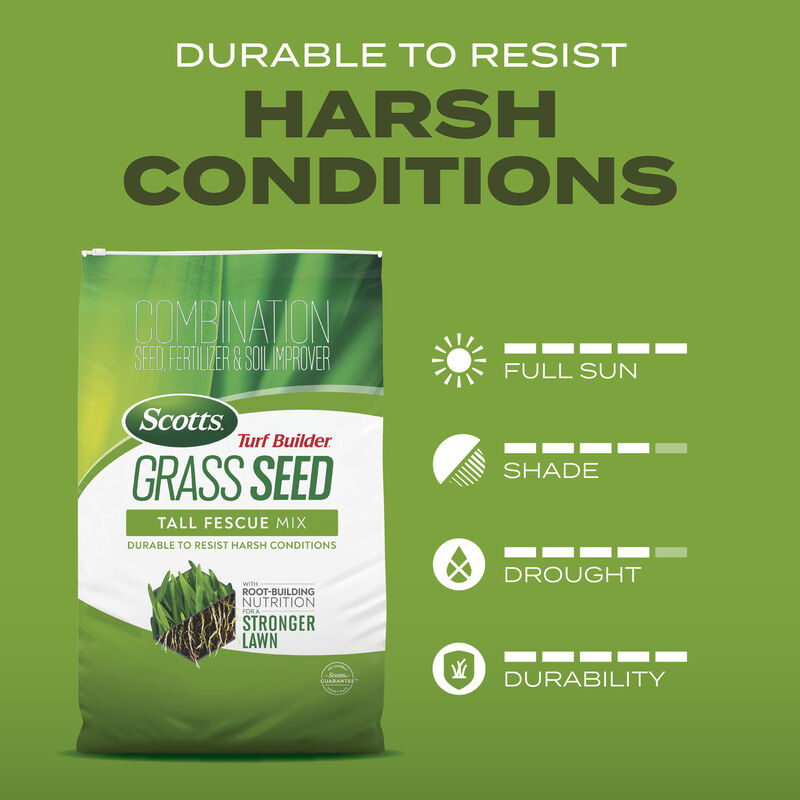 118-scotts-turf-builder-grass-seed-tall-fescue-mix--8.jpg Scotts® Turf Builder® Grass Seed Tall Fescue Mix